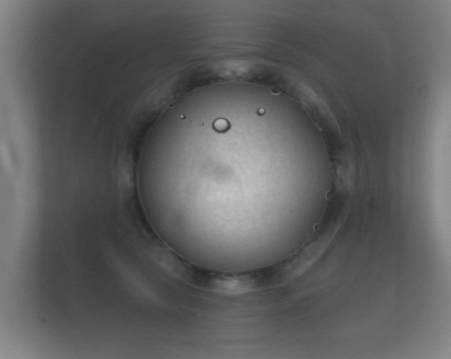 X0000112180561200908141328