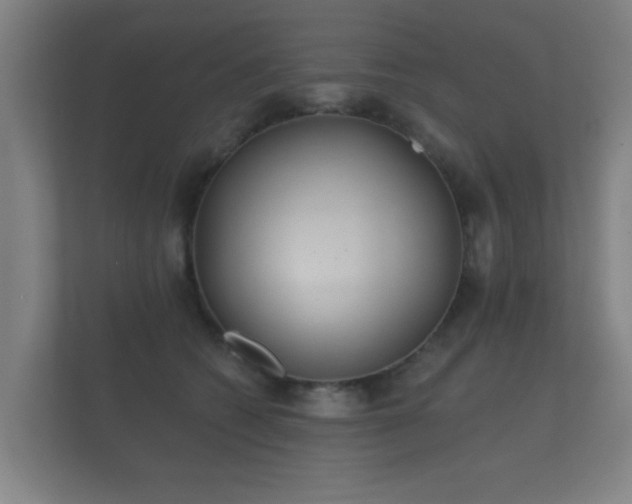 X0000112180562200908141328