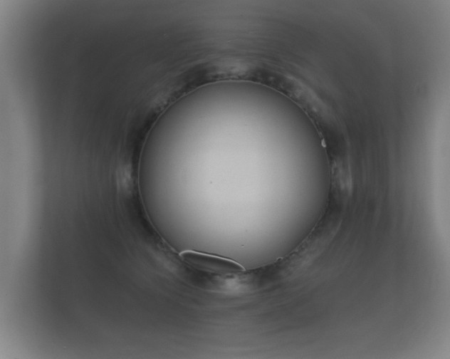 X0000112180564200908141328