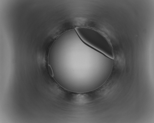 X0000112180566200908141328