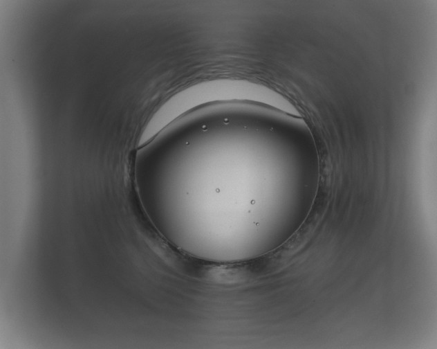 X0000112180568200908141328