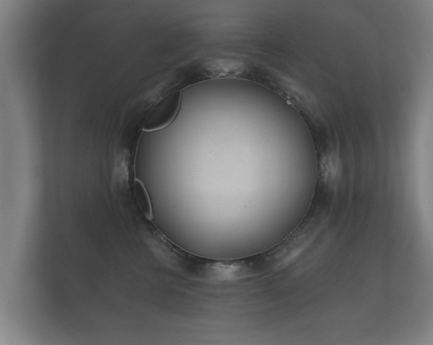 X0000112180570200908141328