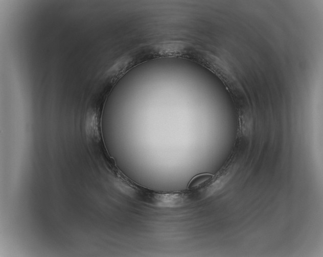 X0000112180575200908141328