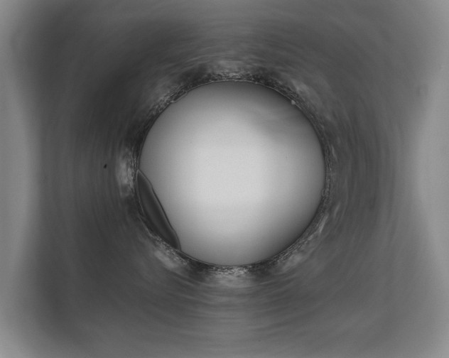 X0000112180576200908141328