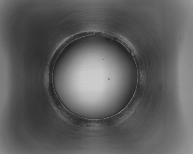 X0000112180580200908141327