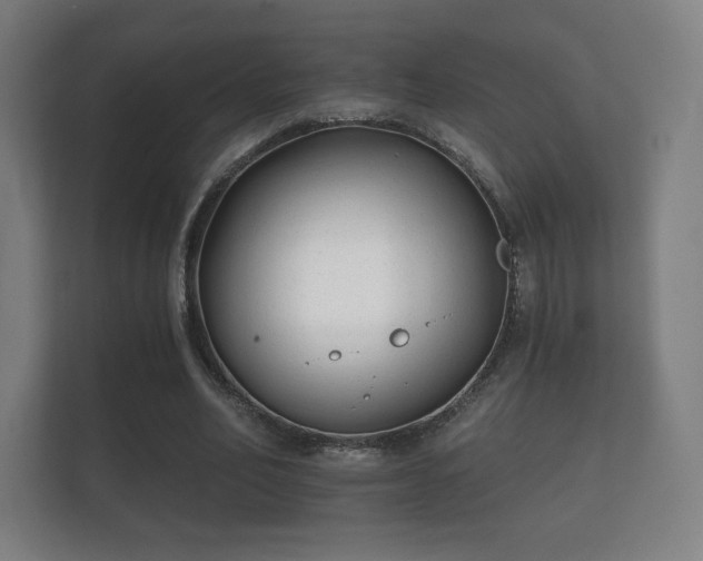 X0000112180582200908141327