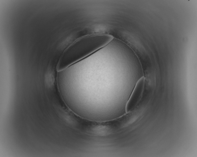 X0000112180593200908141327