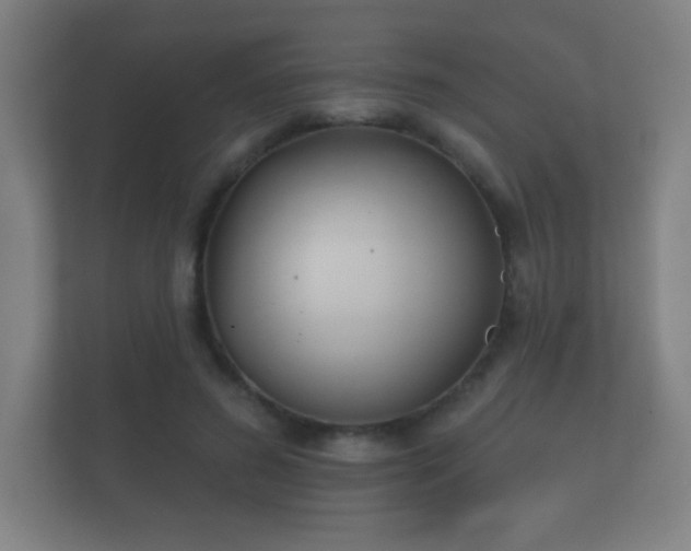 X0000112180596200908141327