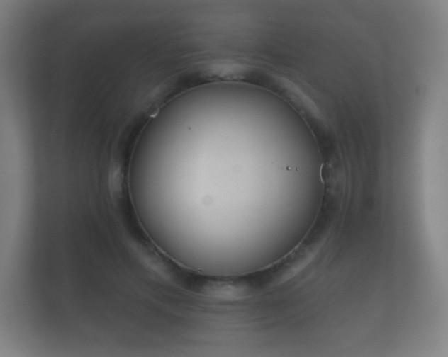 X0000112180597200908141327