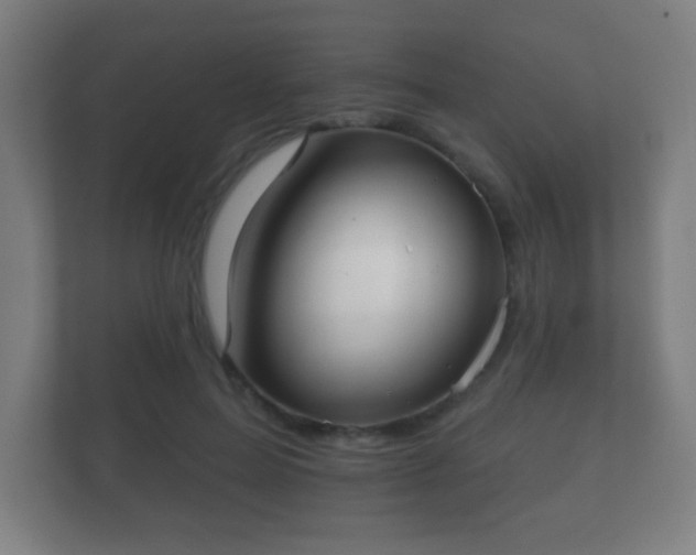 X0000112180599200908141327