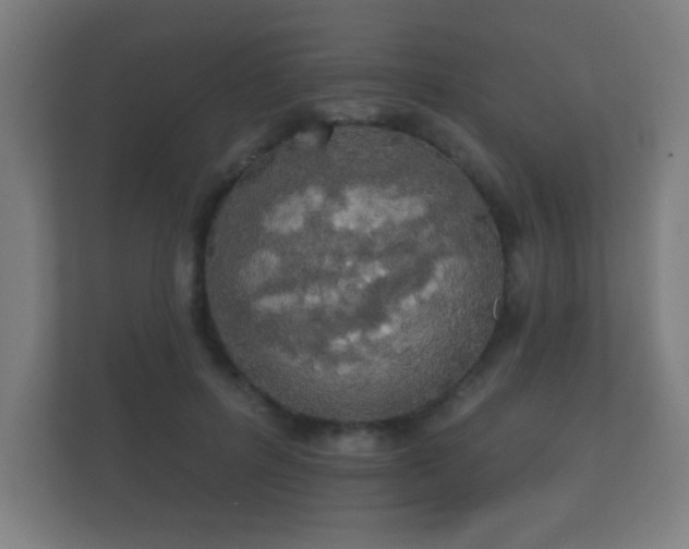 X0000112180600200908141327