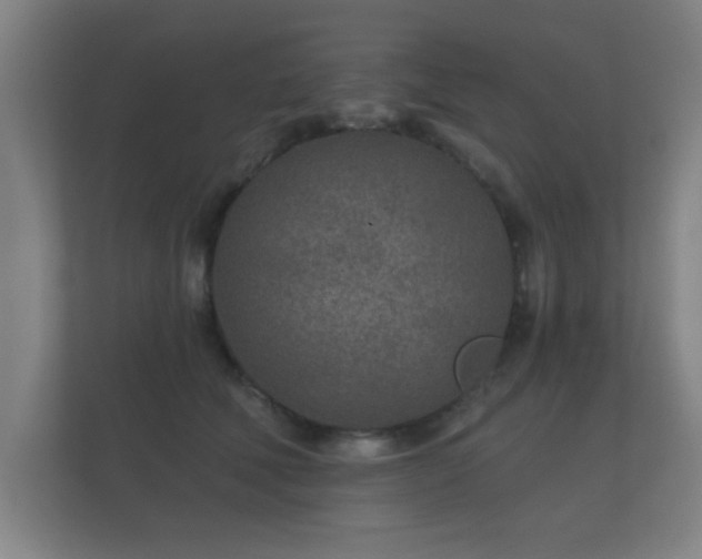 X0000112180610200908141327