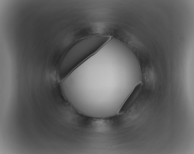 X0000112180611200908141327