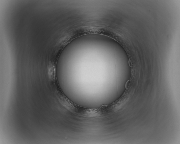 X0000112180624200908141327