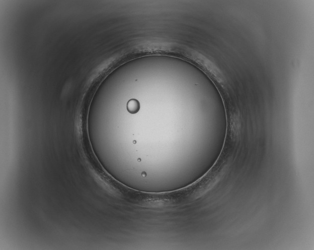 X0000112180629200908141326