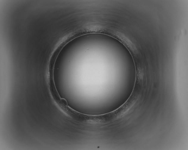 X0000112180630200908141326