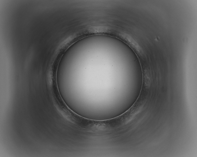 X0000112180631200908141326