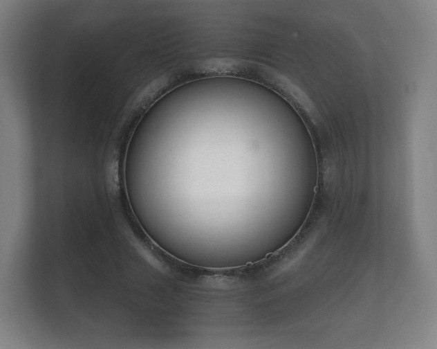 X0000112180633200908141326