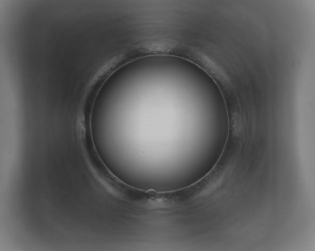 X0000112180634200908141326