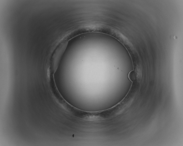 X0000112180637200908141326