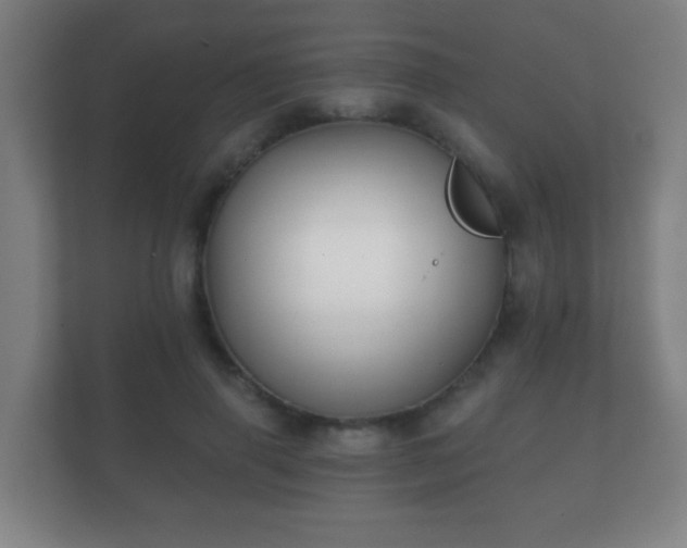 X0000112180645200908141326