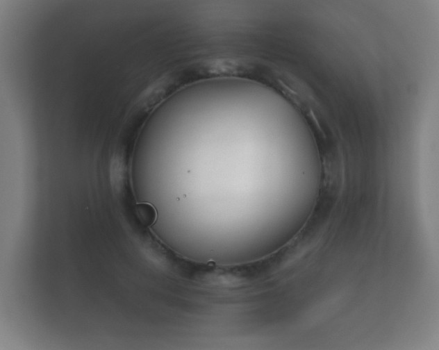 X0000112180648200908141326