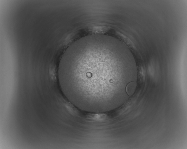 X0000112180663200908141327