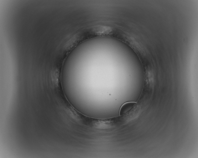 X0000112180664200908141327