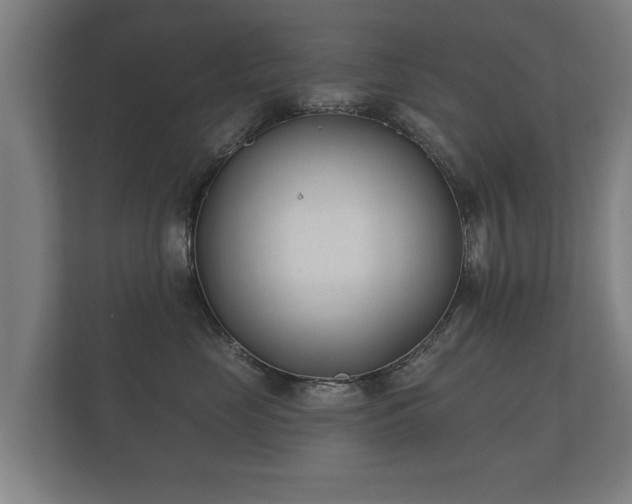 X0000112180669200908141327