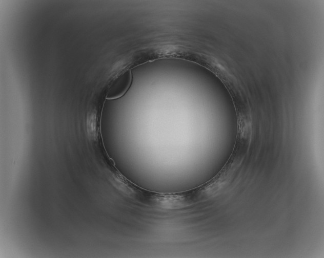 X0000112180670200908141327