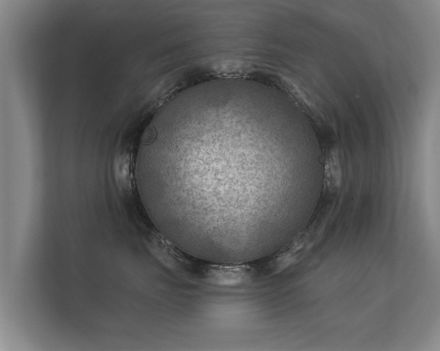 X0000112180671200908141327