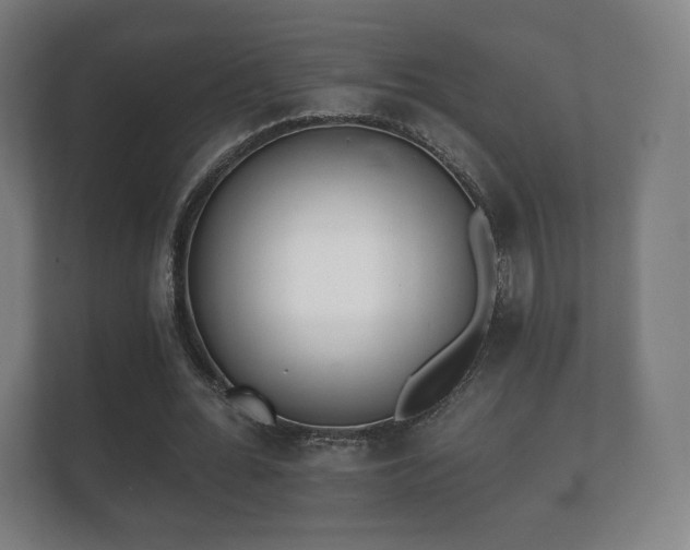 X0000112180676200908141326