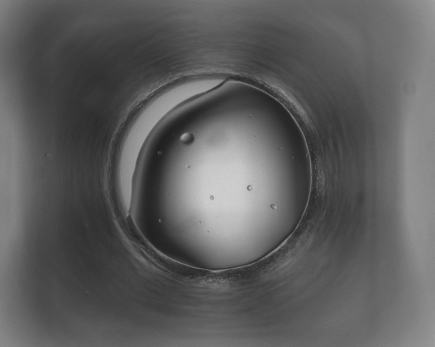 X0000112180677200908141326