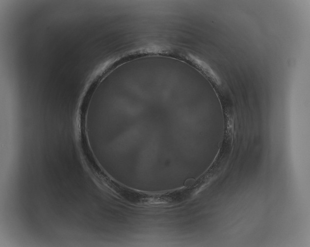 X0000112180678200908141326