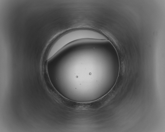 X0000112180680200908141326