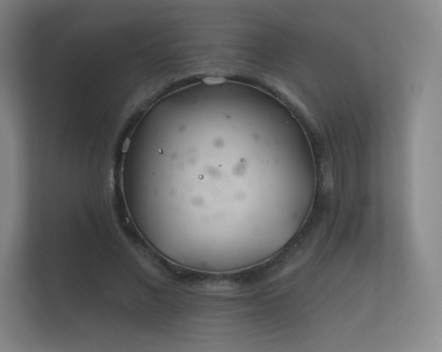 X0000112180685200908141326