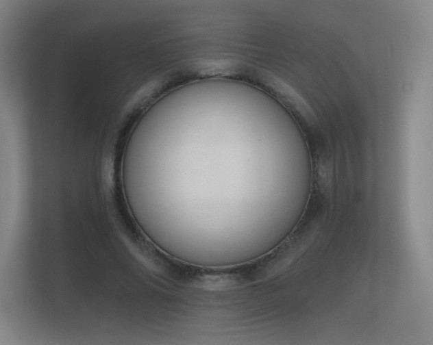 X0000112180686200908141326