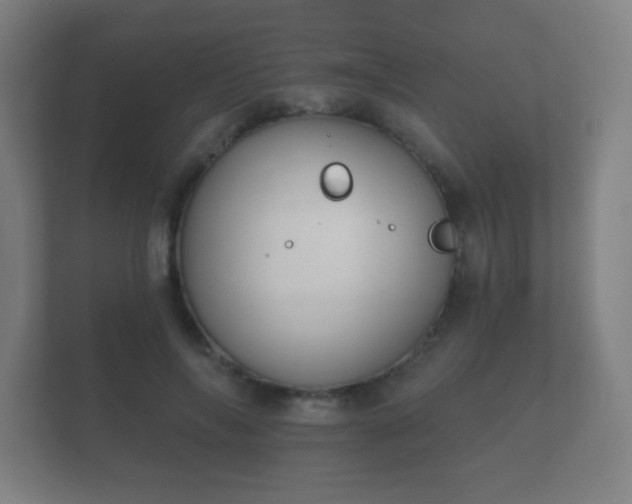 X0000112180694200908141326