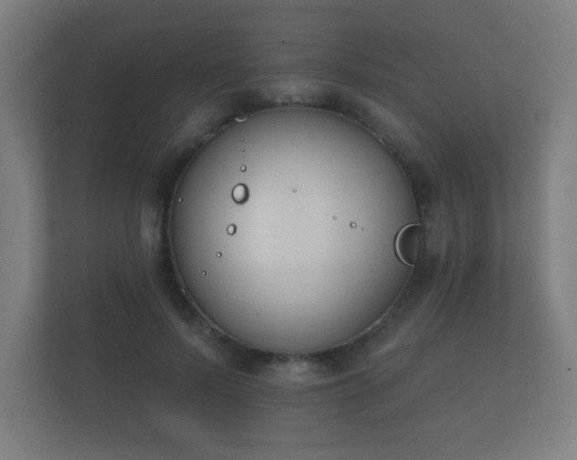 X0000112180695200908141326