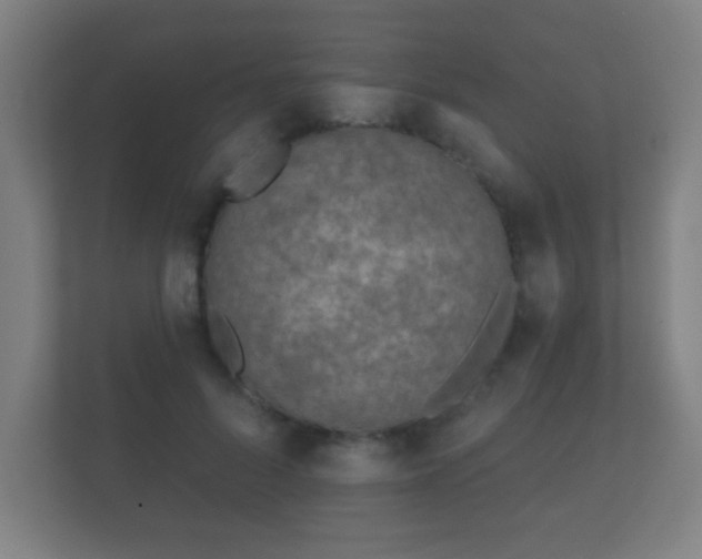 X0000112180696200908141326