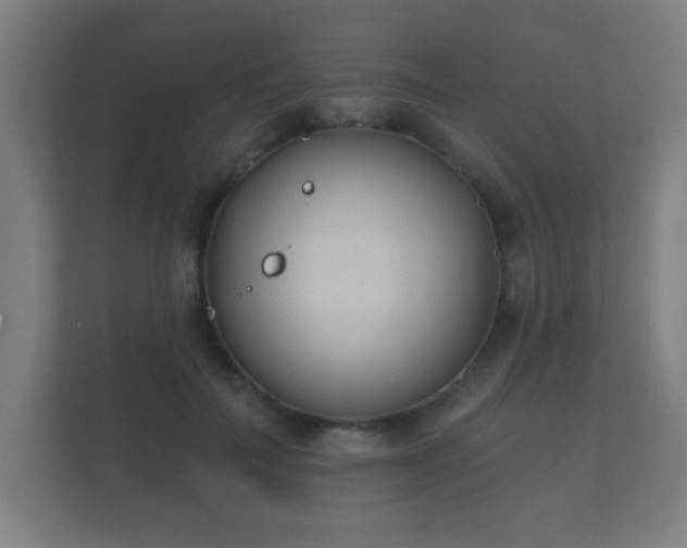 X0000112180699200908141326