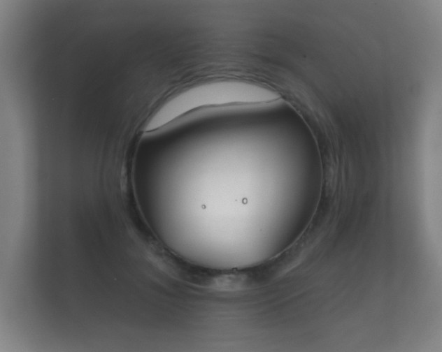 X0000112180700200908141326