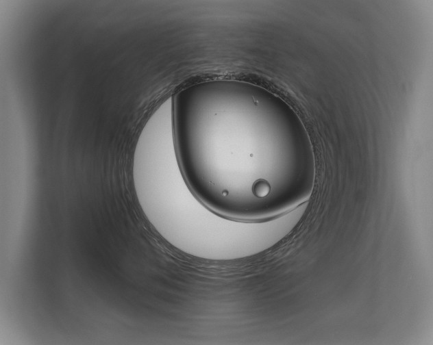 X0000112180720200908141325