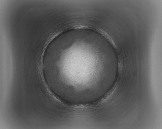 X0000112180721200908141325