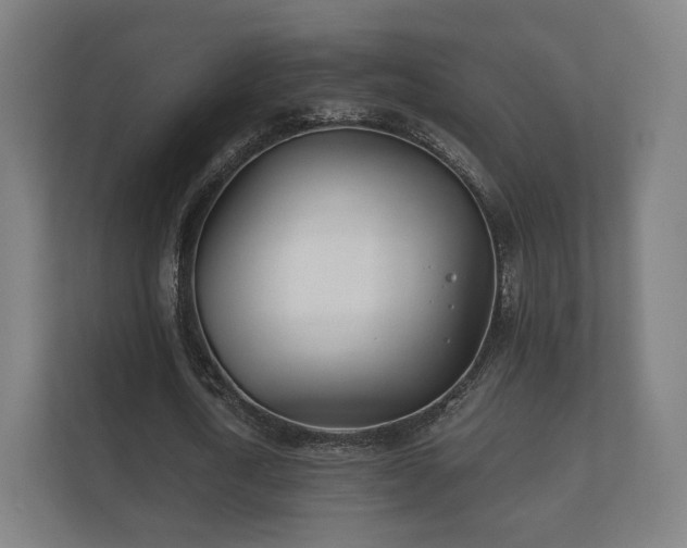 X0000112180722200908141325