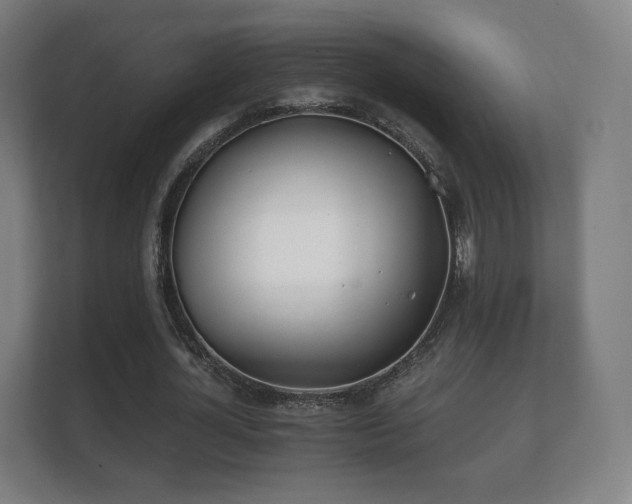 X0000112180724200908141325