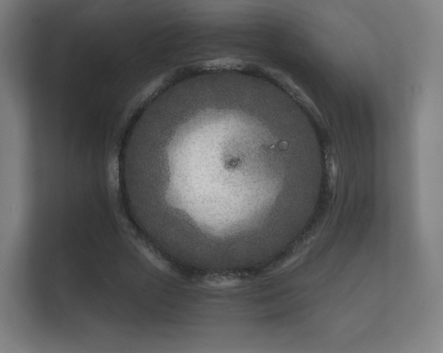 X0000112180729200908141325