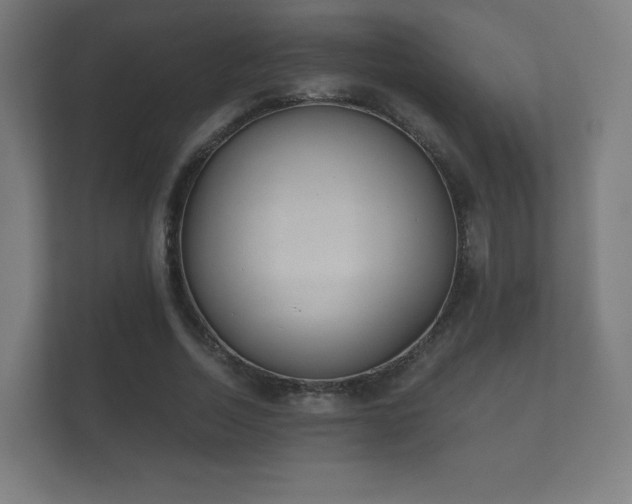 X0000112180730200908141325