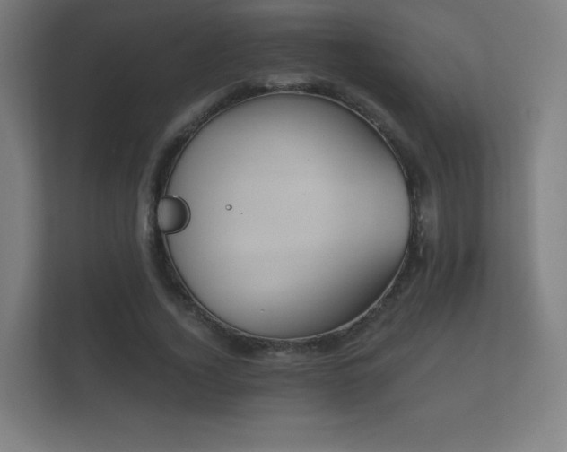 X0000112180732200908141325