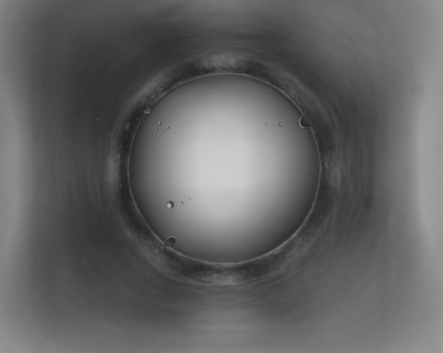 X0000112180735200908141325